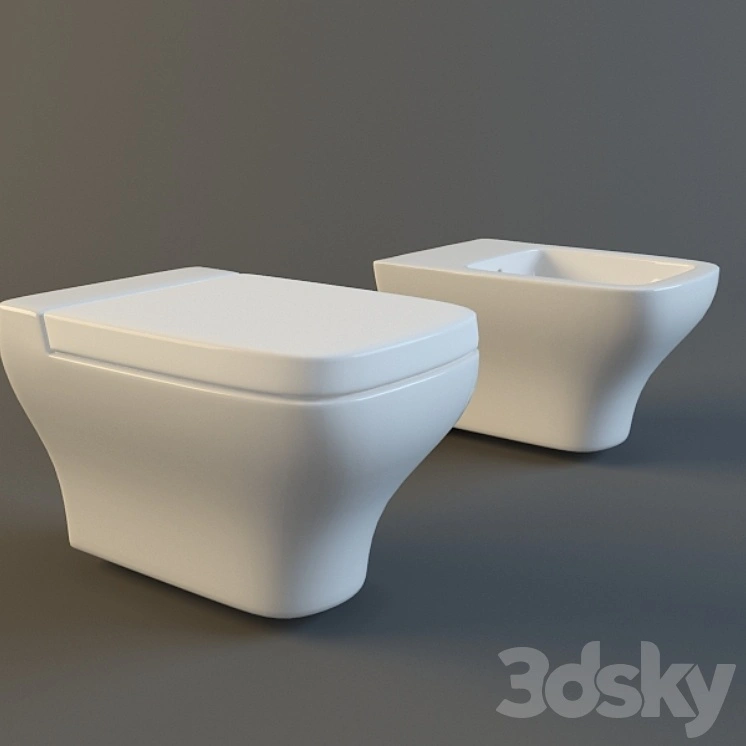 Toilet and bidet 