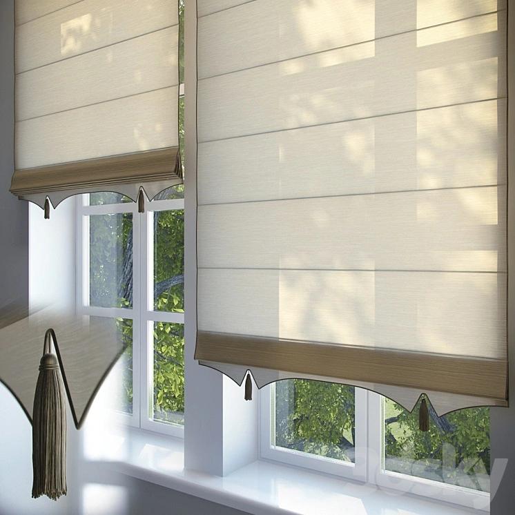 Roman blinds # 2 