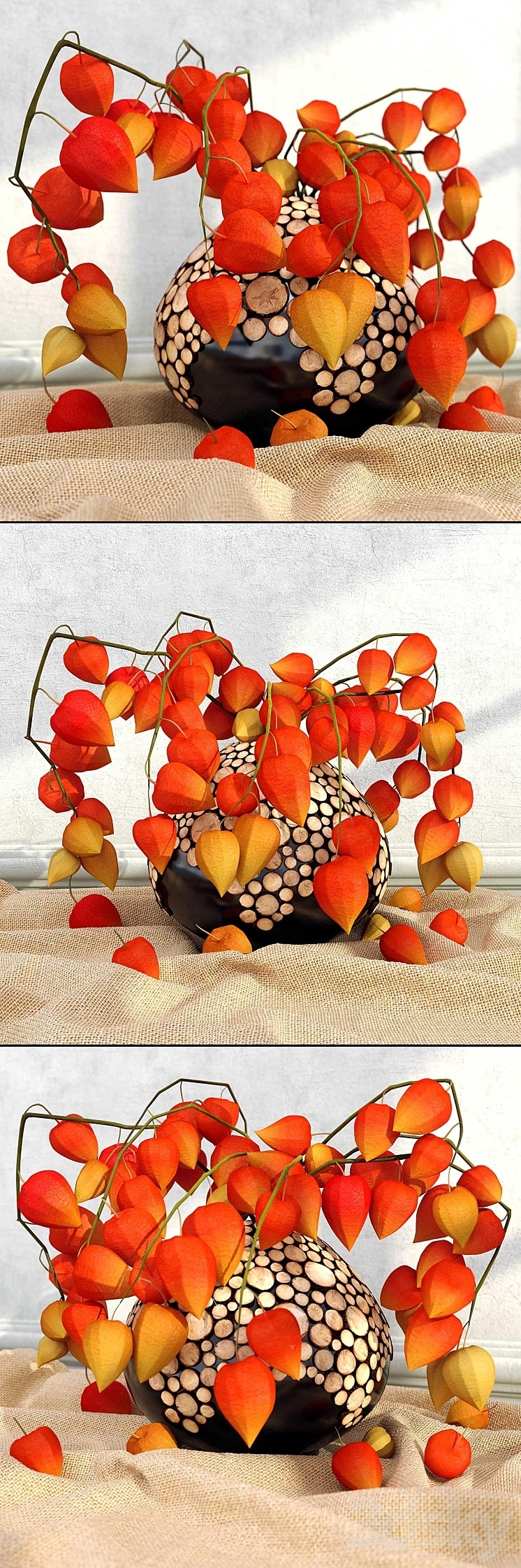 physalis_in_a_vase 