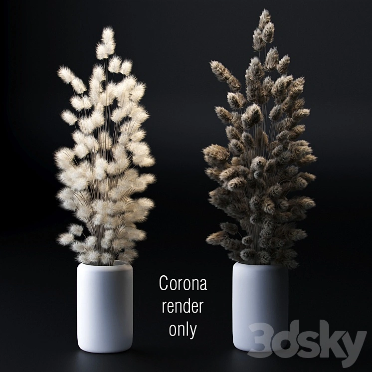 Bouquet of dried flowers. 2 models 