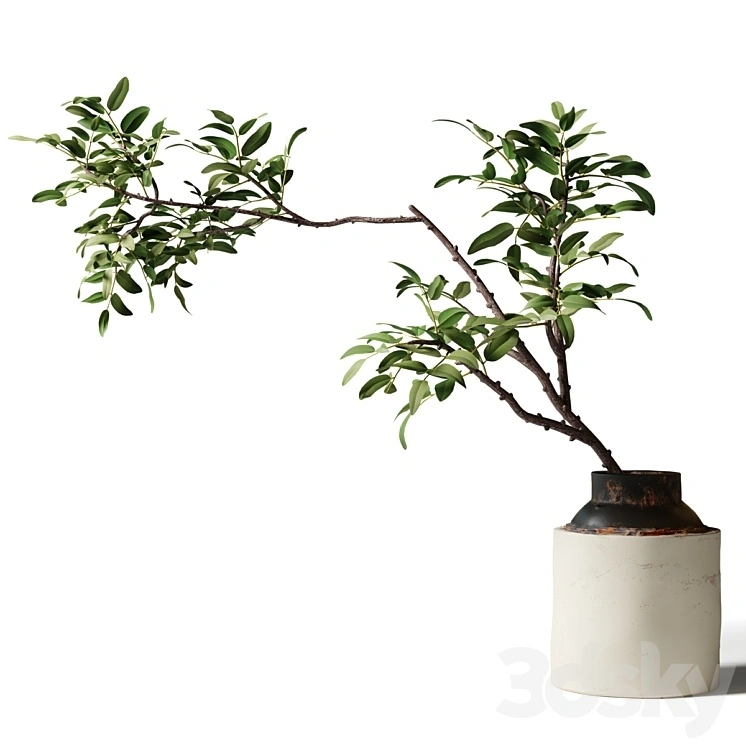 Branch with green leaves in an old metal vase 
