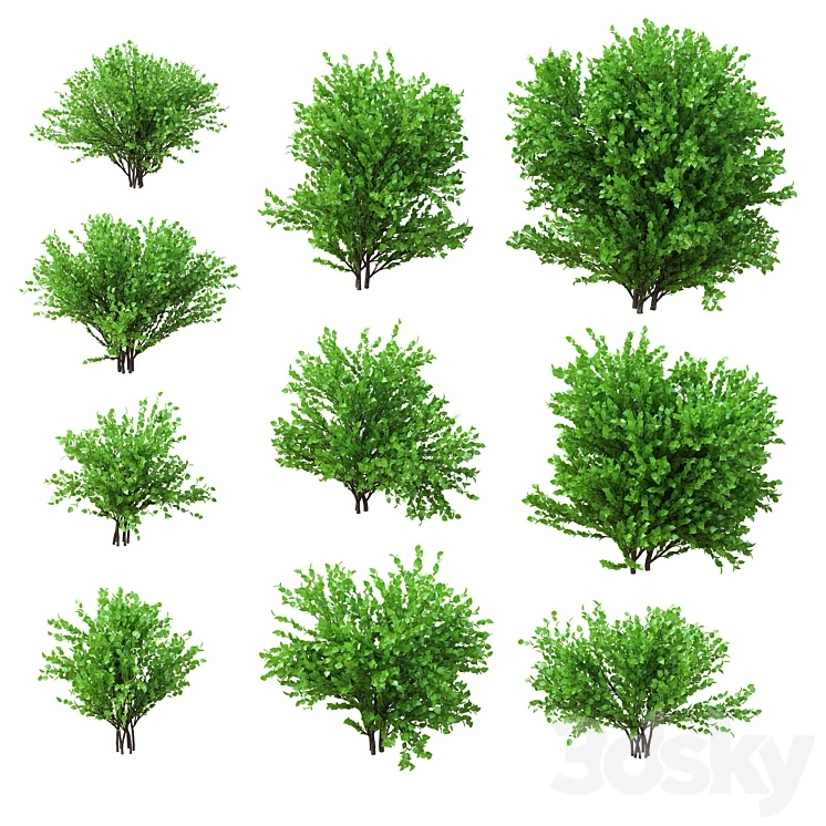 A set of bushes. 10 models. v2 