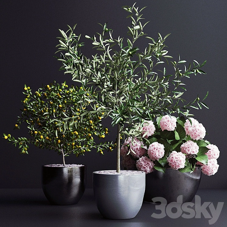 Decor, trees 