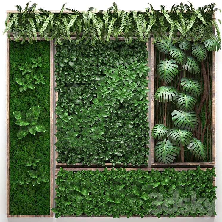Vertical garden 22. Five separate modules, landscaping, phytowall, phytomodule, monstera, fern, eco design, natural decor 