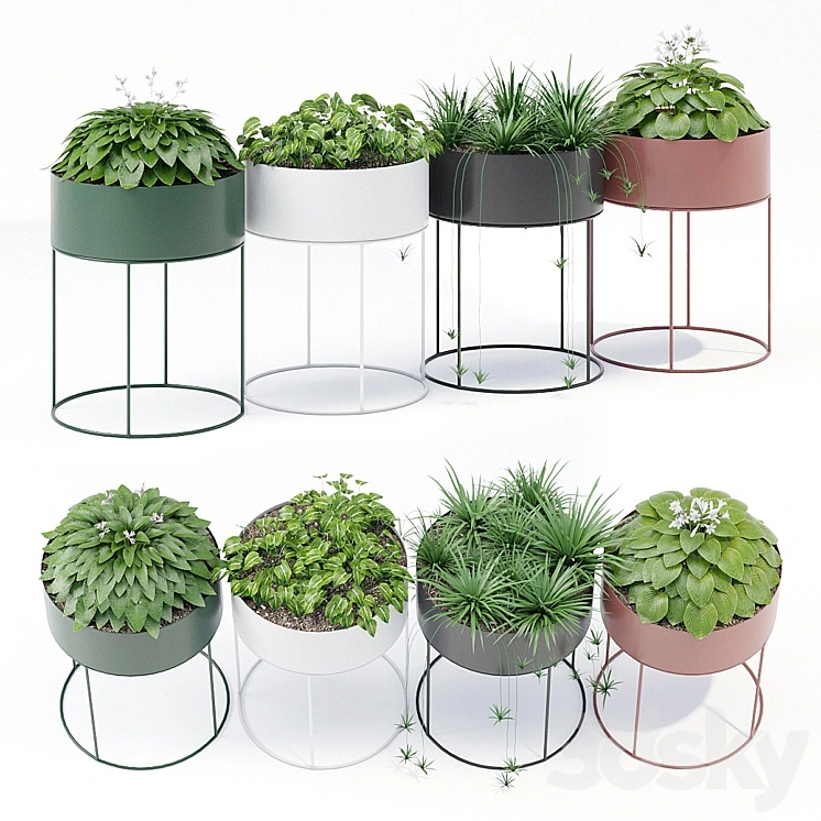 Plant box round 