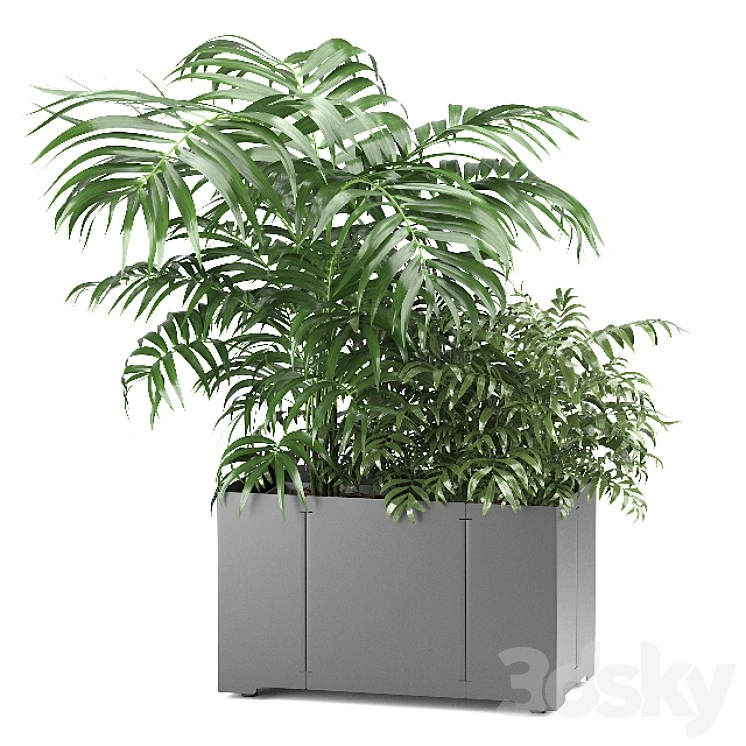 Palm tree in a pot 02 (CAPE Collection) 
