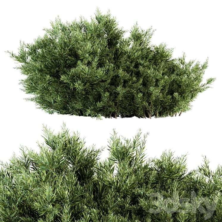 Needle Leaf Bush - Bush Set 26 