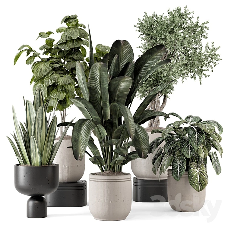 Indoor Plants in rusty Concrete Pot - Set 1286 