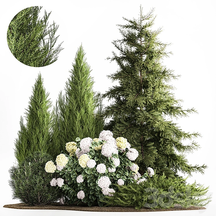 Garden of spruce, pine, topiary, white hydrangea bush, flowers, juniper, alpine hill. Plant set 1181 