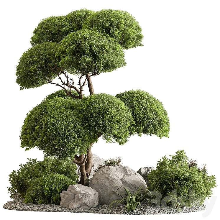 Garden Plants - Outdoor Plants 598 