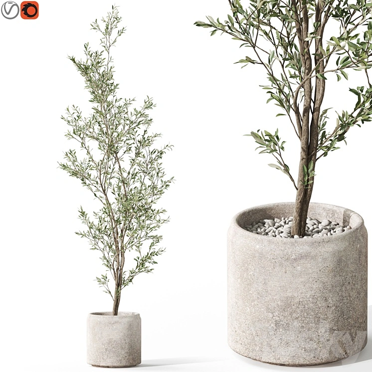 Plants collection 1050 
