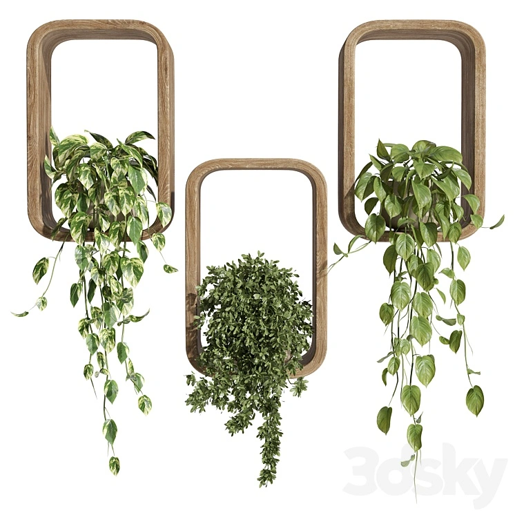 hanging plants on a box 