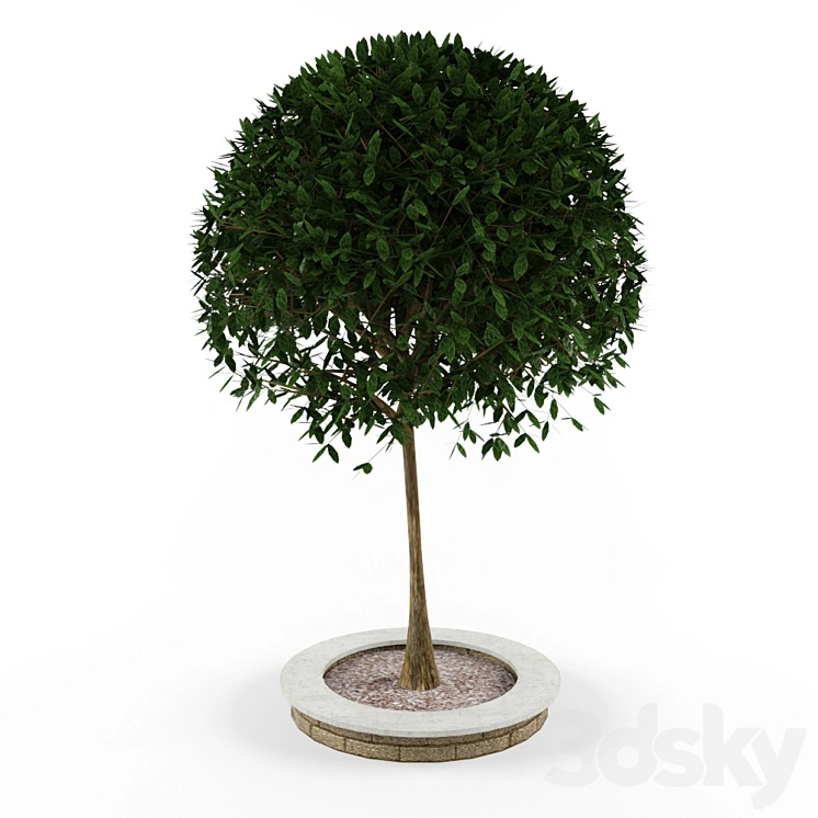 Decorative tree 