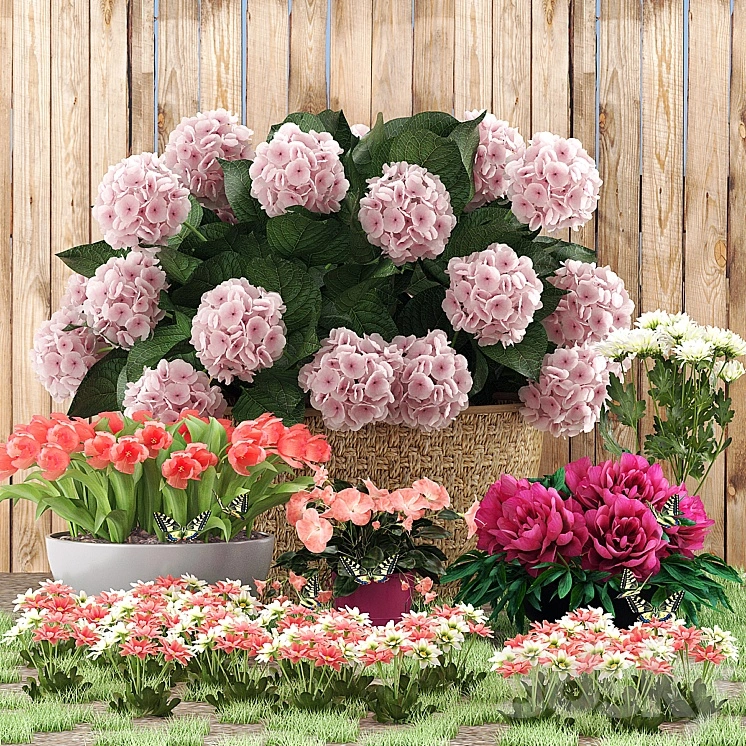 Flower beds 