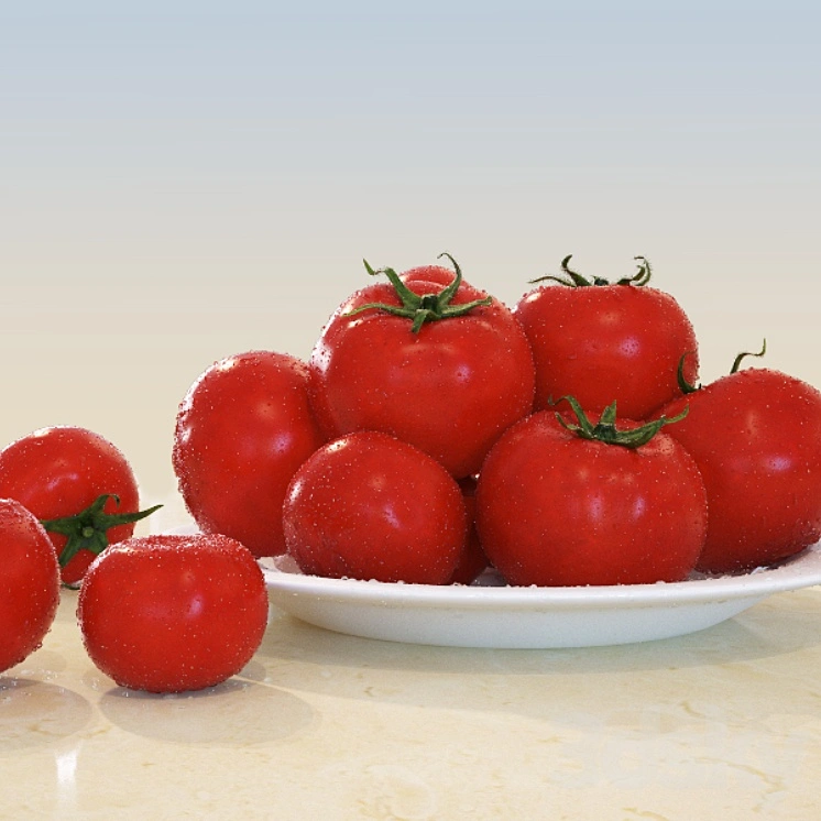 Tomatoes 