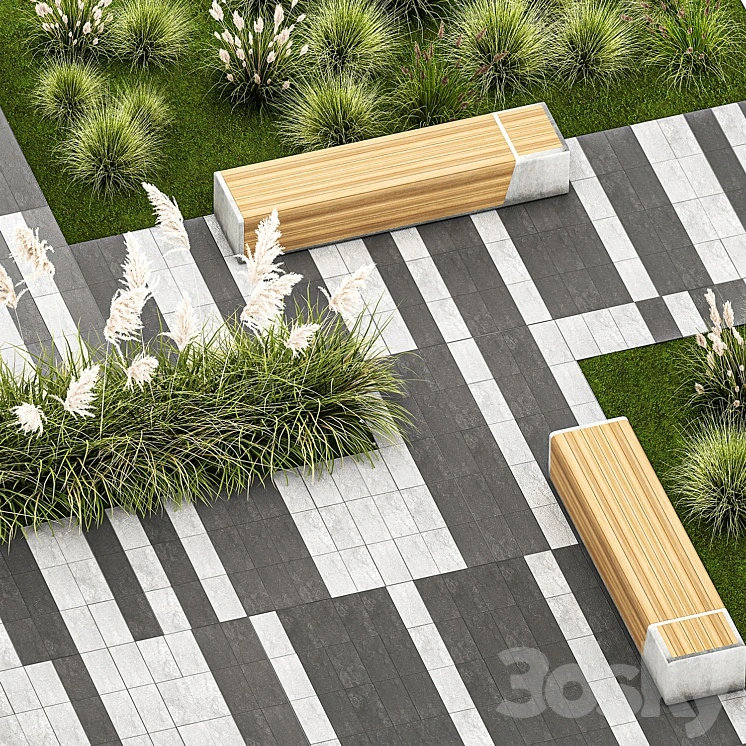 Plants for the urban environment with paving slabs, bench, bench, pampas grass bushes, Cortaderia. 1151. 