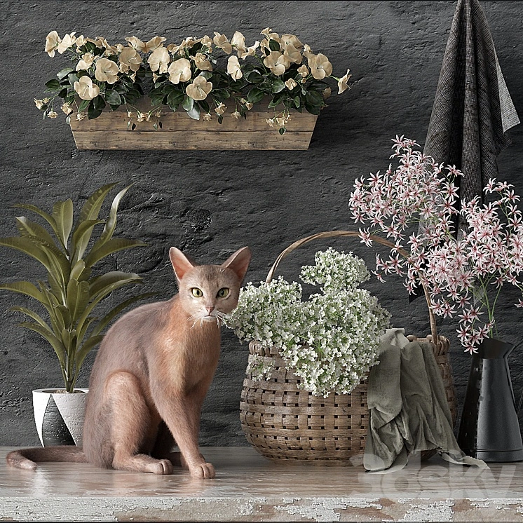 Decorative set 5 
