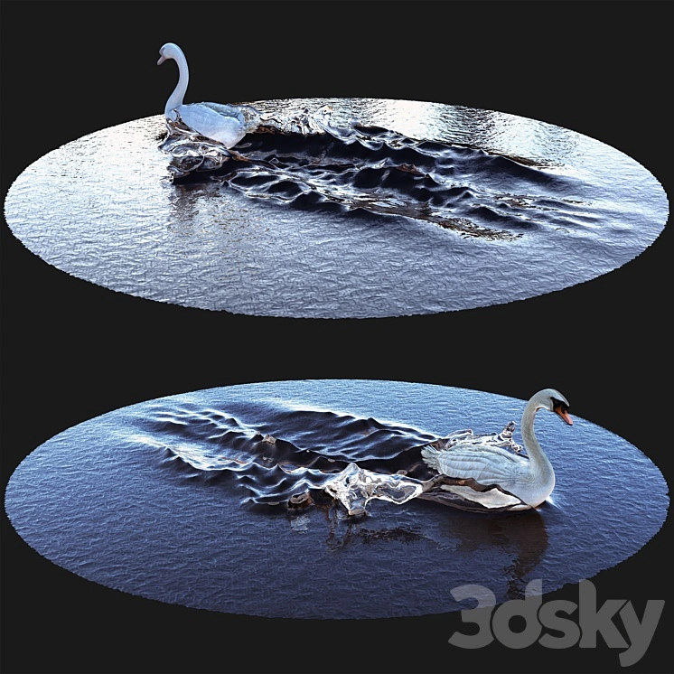 Goose on water 