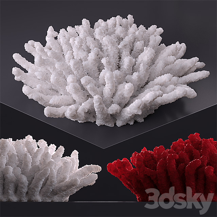 DECORATIVE CORAL 