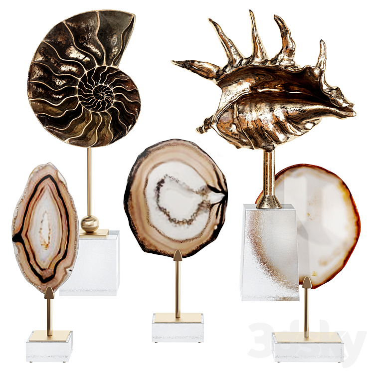 SEA SHELL DECORATIVE SET 02 