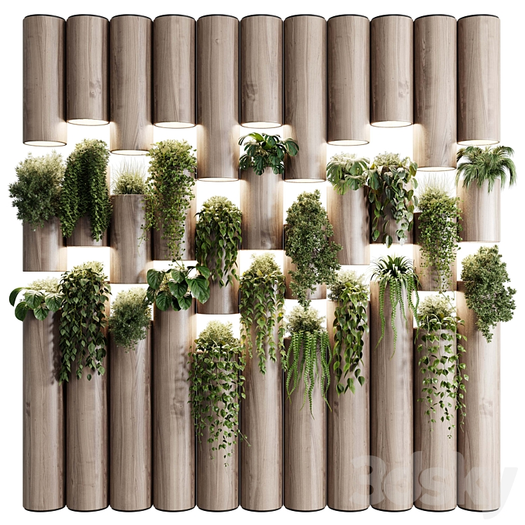 PLANTS_SET_PARTITION_IN_WOODEN_FRAME_VERTICAL_GRADEN_WALL_DECOR 