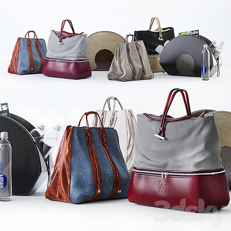 A SET OF BAGS DANDY BAG 