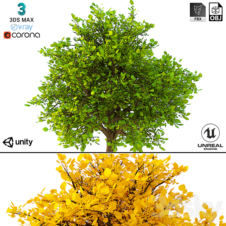 3D MODEL OF THE BUSH NO 2 