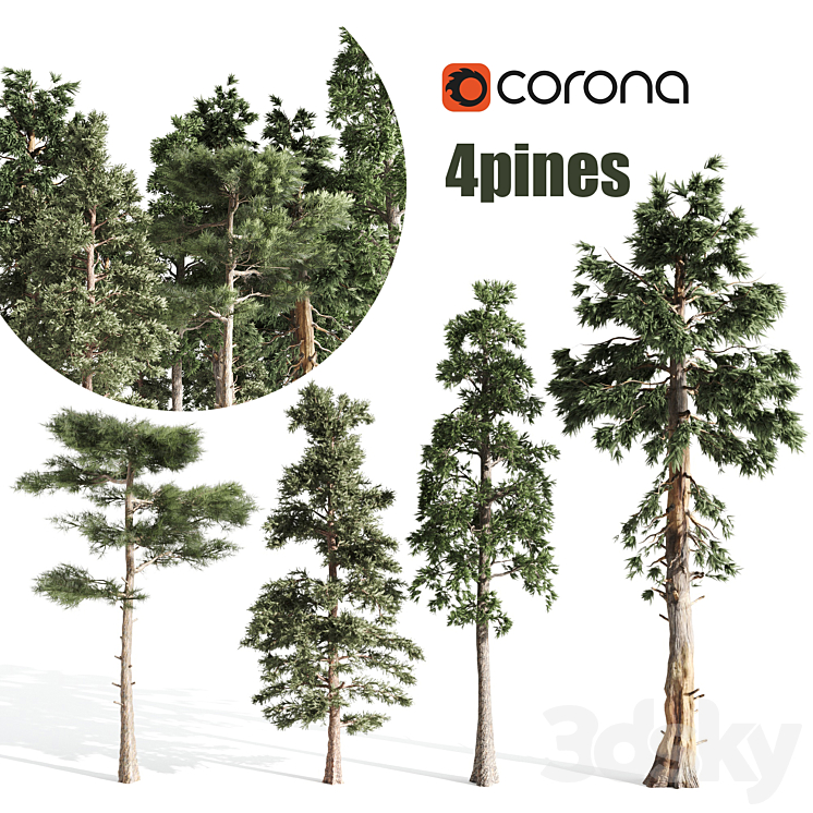 4 PINES 
