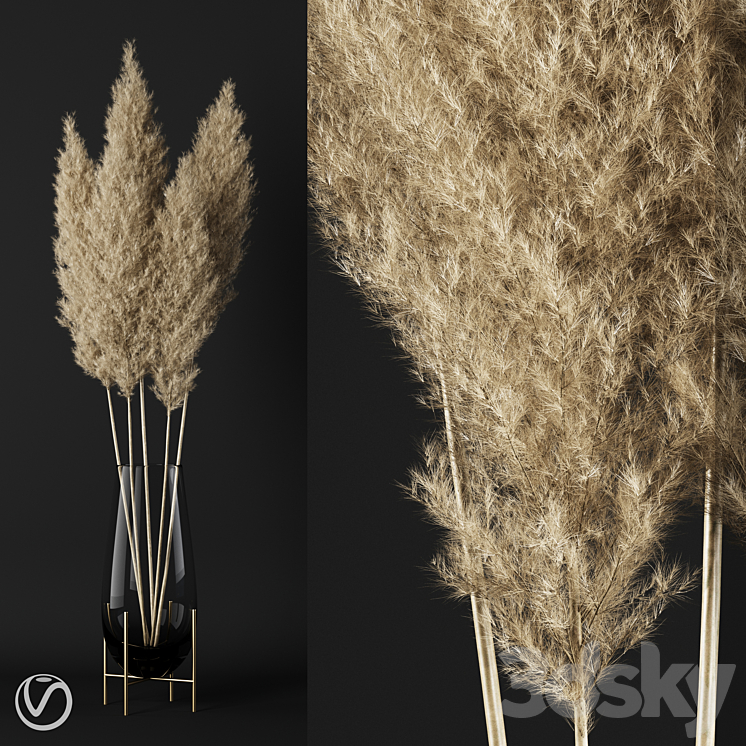 A BUNCH OF PAMPAS 