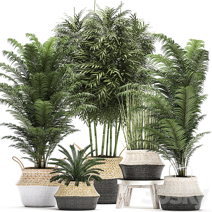 A_COLLECTION_OF_BEAUTIFUL_LUSH_PLANTS_IN_WHITE_BASKETS_WITH_HANDLES 