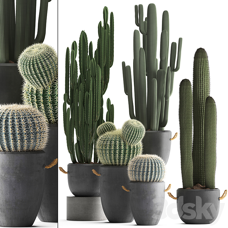 A_COLLECTION_OF_BEAUTIFUL_SMALL_CACTUS_PLANTS_IN_MODERN_CONCRETE 