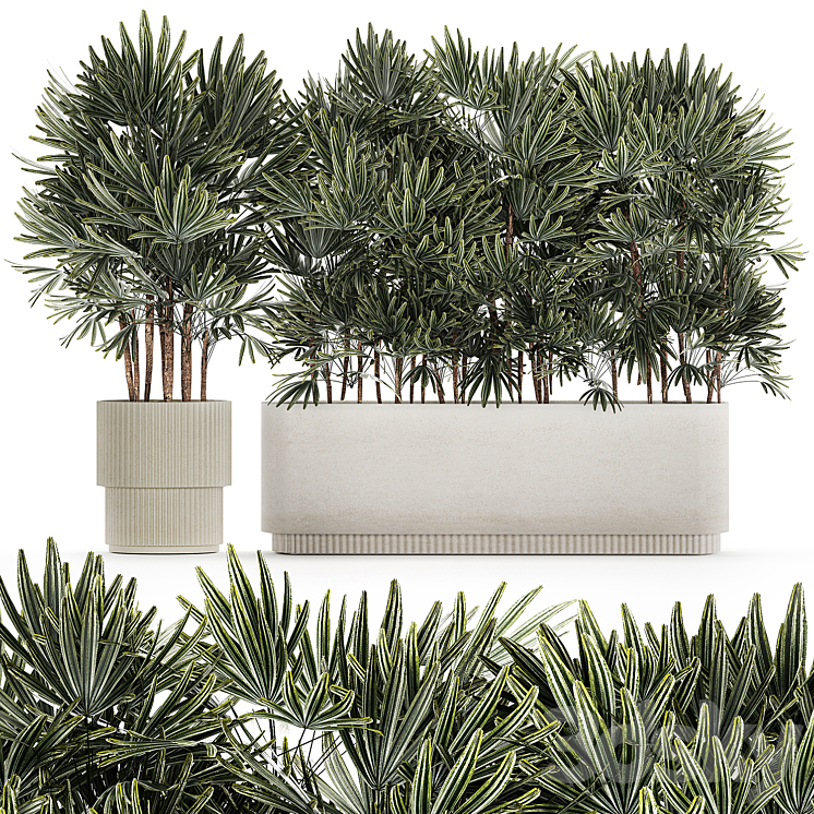 A_COLLECTION_OF_LUSH_BUSHES_OF_THICKETS_OF_PLANTS_IN_MODERN_WHITE 