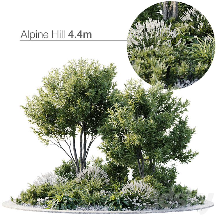 ALPINE HILL 61 