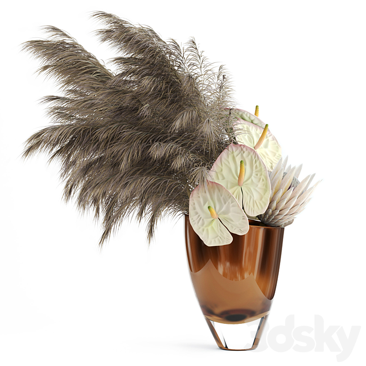 ANTHURIUMS PROTEA PAMPAS GRASS 