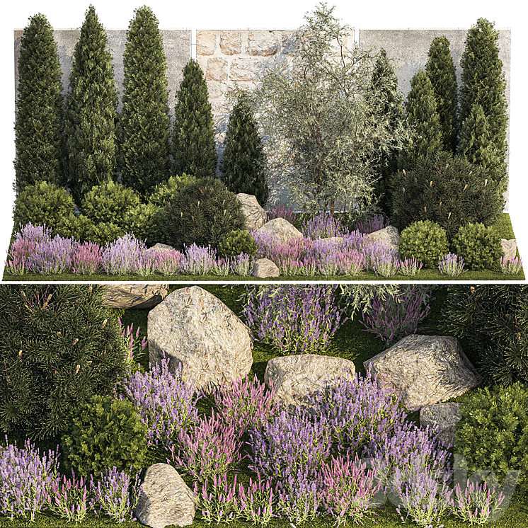 BEAUTIFUL_GARDEN_WITH_ARBORVITAE_AND_LANDSCAPING_WITH_PINE_CYPRESS 