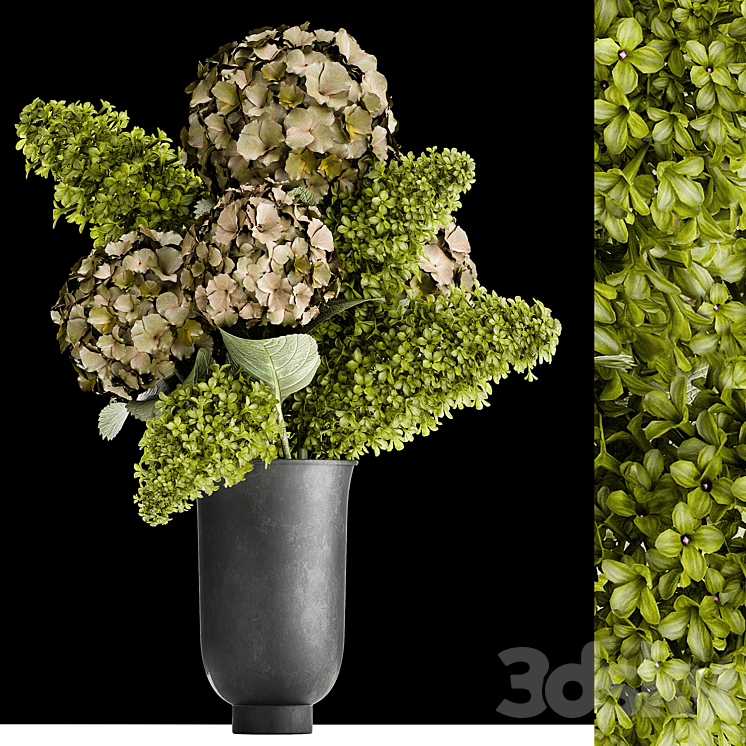BEAUTIFUL_MODERN_BOUQUET_OF_GREEN_FLOWERS_IN_A_BLACK_VASE_WITH_HYDRANGEA 