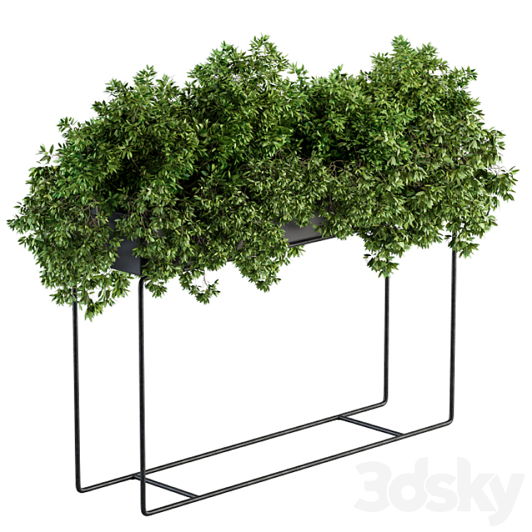 BLACK BOX PLANTS ON STAND SET 80 
