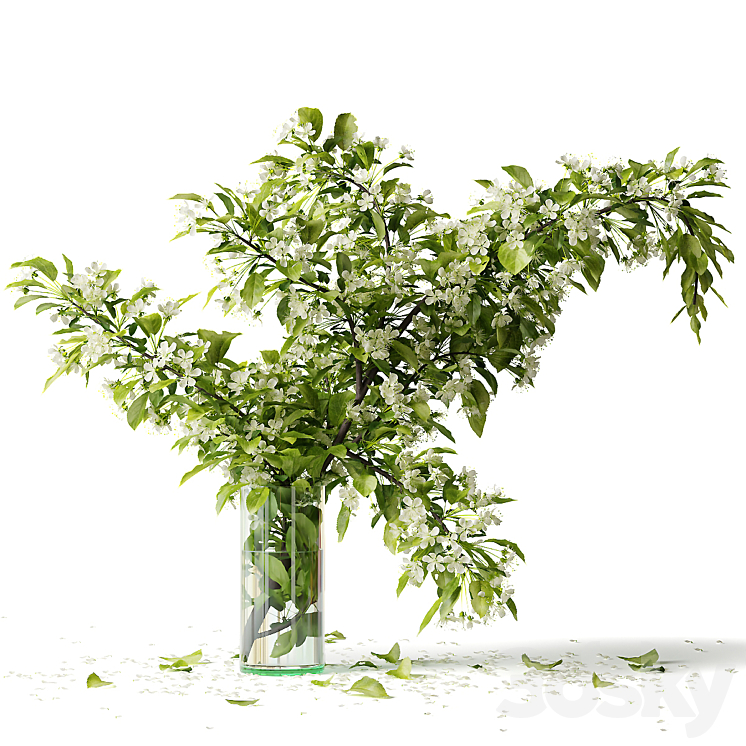 BOUQUET BLOOMING BRANCH SPRING FLOWERS IN A GLASS VASE 