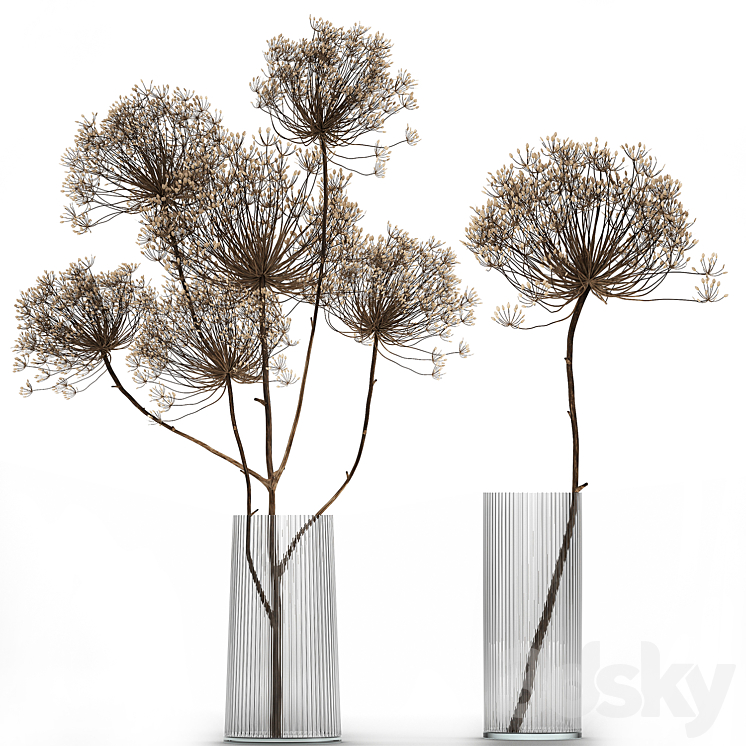 BOUQUET_OF_DRIED_FLOWERS_IN_A_GLASS_VASE_WITH_DRY_BRANCHES_HOGWEED 