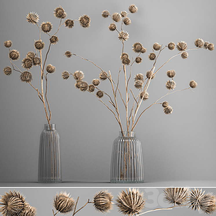 BOUQUET_OF_DRIED_FLOWERS_IN_A_VASE_WITH_BRANCHES_OF_DRY_THORNS_THISTLE 