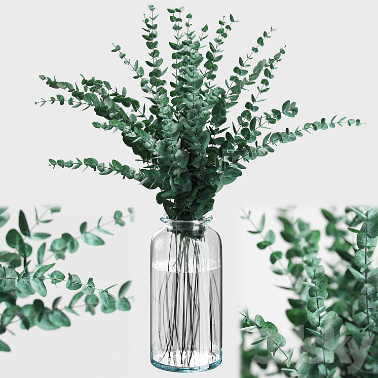 BOUQUET OF EUCALYPTUS BRANCHES 
