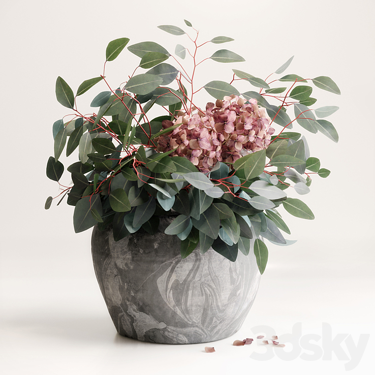 BOUQUET OF EUCALYPTUS WITH HYDRANGEA 