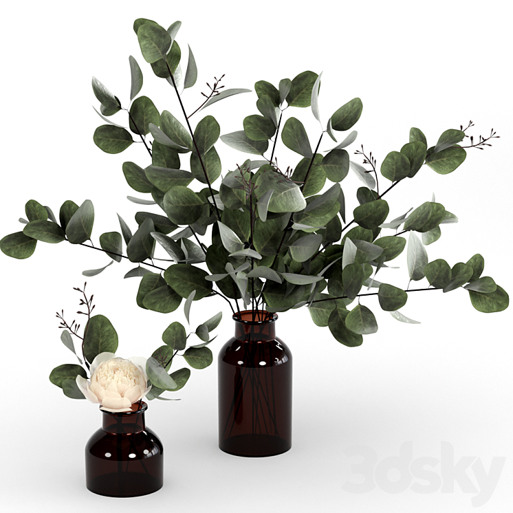 BOUQUETS OF EUCALYPTUS 