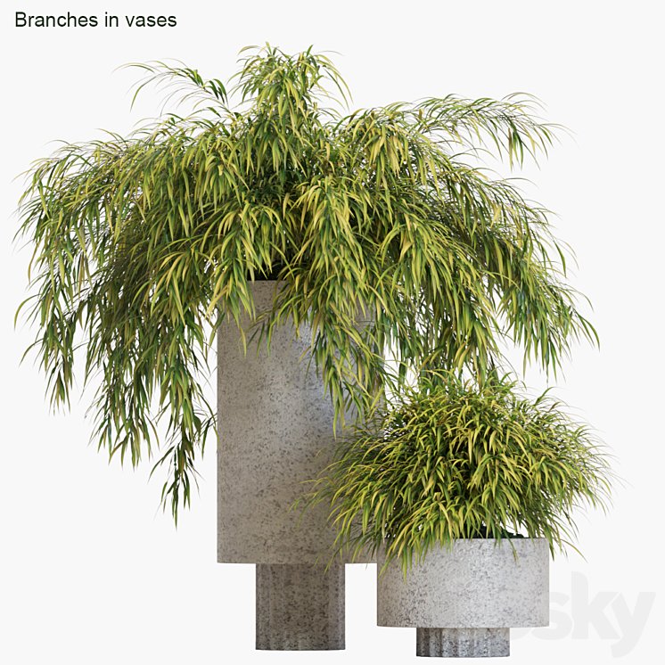 BRANCHES IN VASES # 14 HAKONECHLOA 