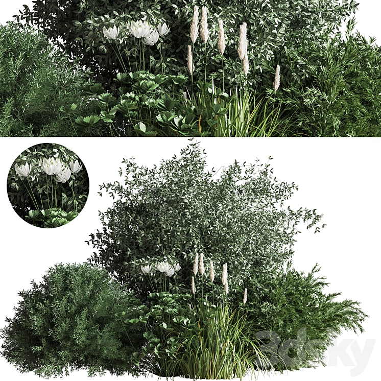 BUSH04 