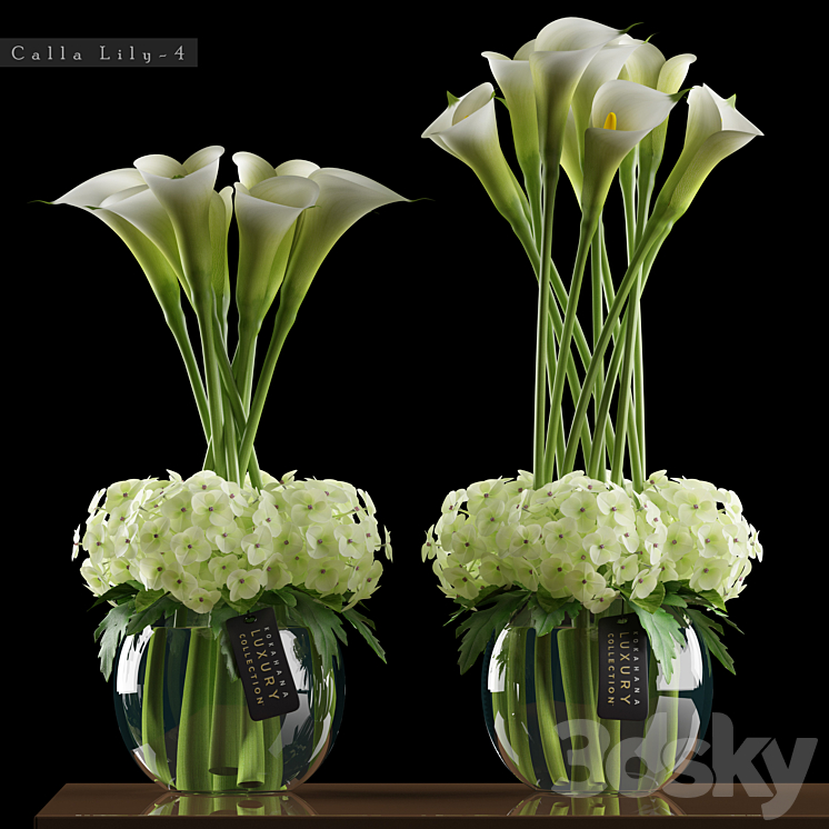 CALLA LILY 