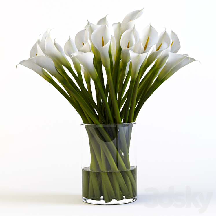 CALLAS 