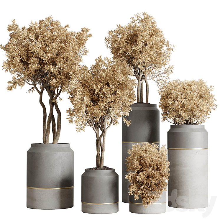 COLLECTION_AUTUMN_LEAVES_INDOOR_PLANT_128_DIRTY_CONCRETE_POTS_DRY 