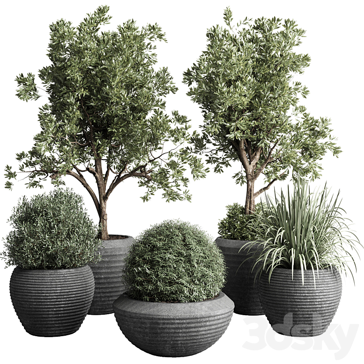 COLLECTION_INDOOR_OUTDOOR_PLANT_120_PLANT_TREE_GRASS_VASE_DIRTY 