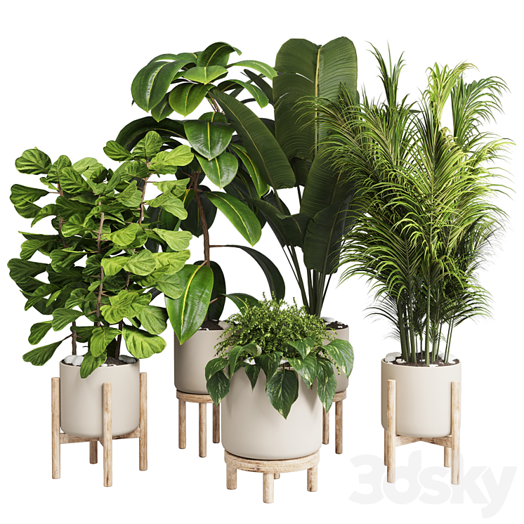 COLLECTION INDOOR PLANT 30 WOOD VASE 